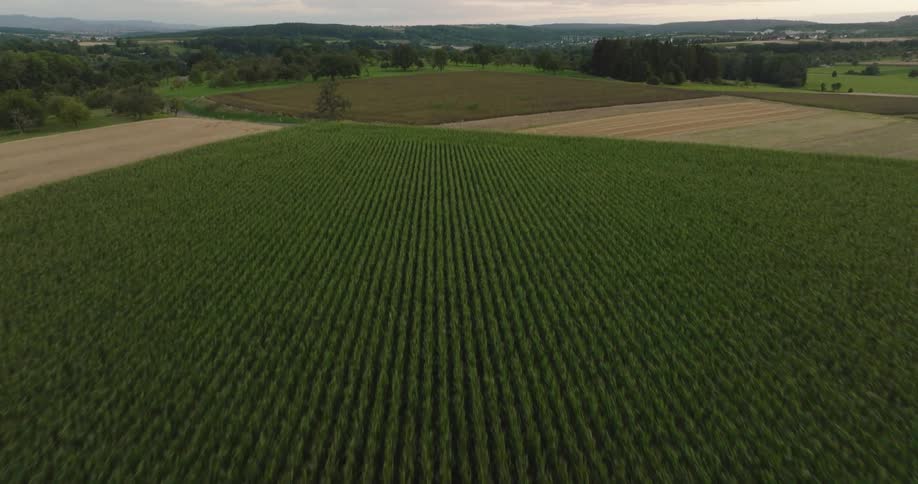 Large agricultural fields in the countryside in the evening