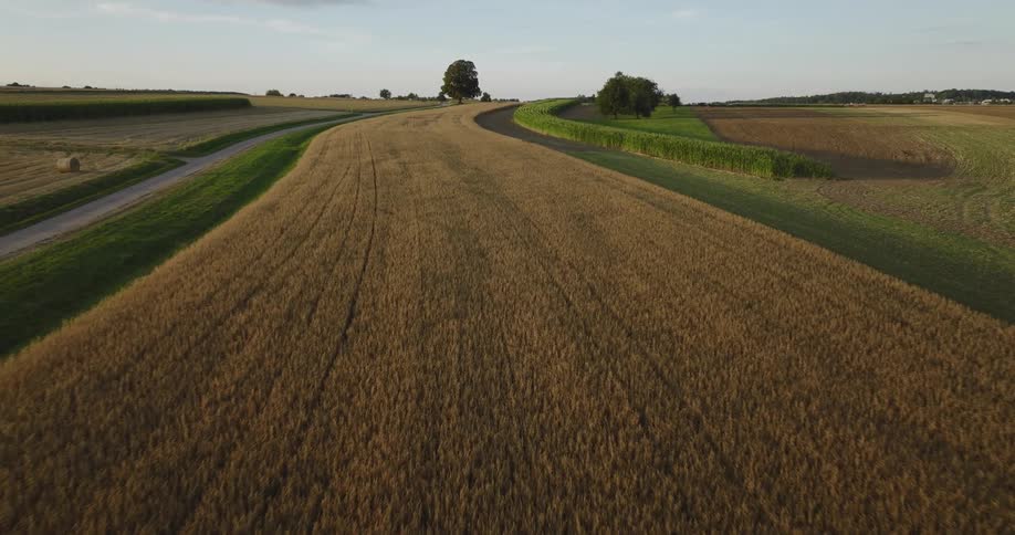 A curving ribbon of farm land and crops