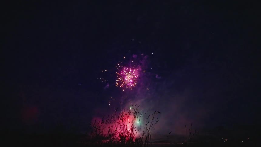 Fireworks light up the night sky