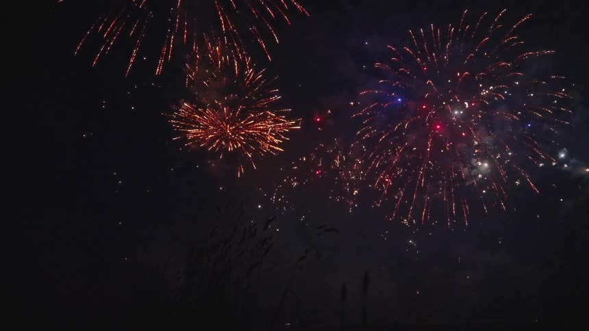 Fireworks exploding in the night sky