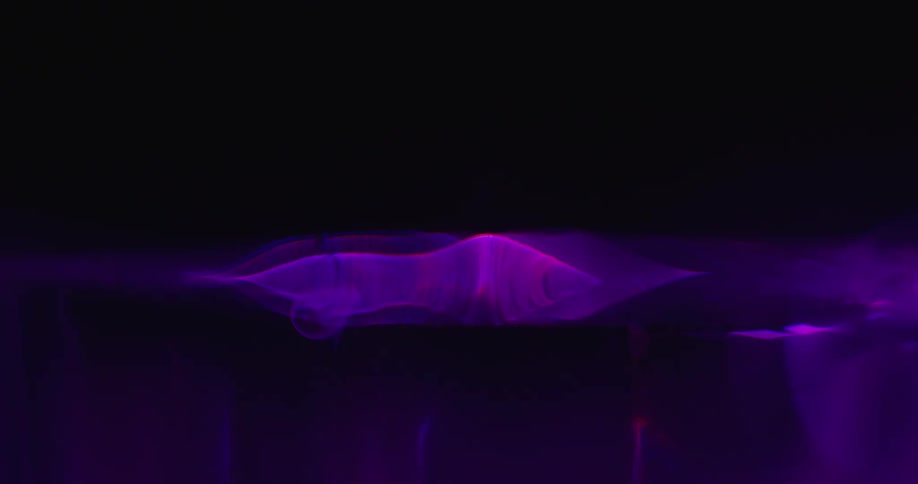 Purple beams with twisting shapes of pink light move across the darkness