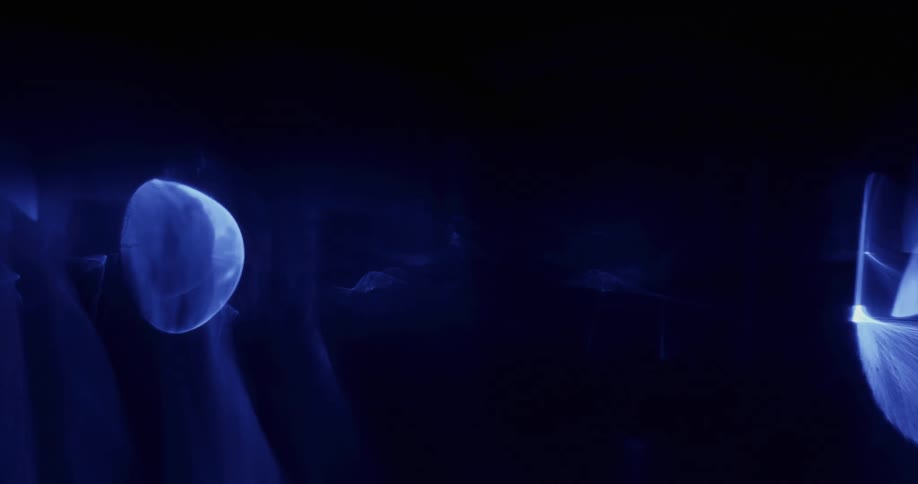 The blue glowing lights move around