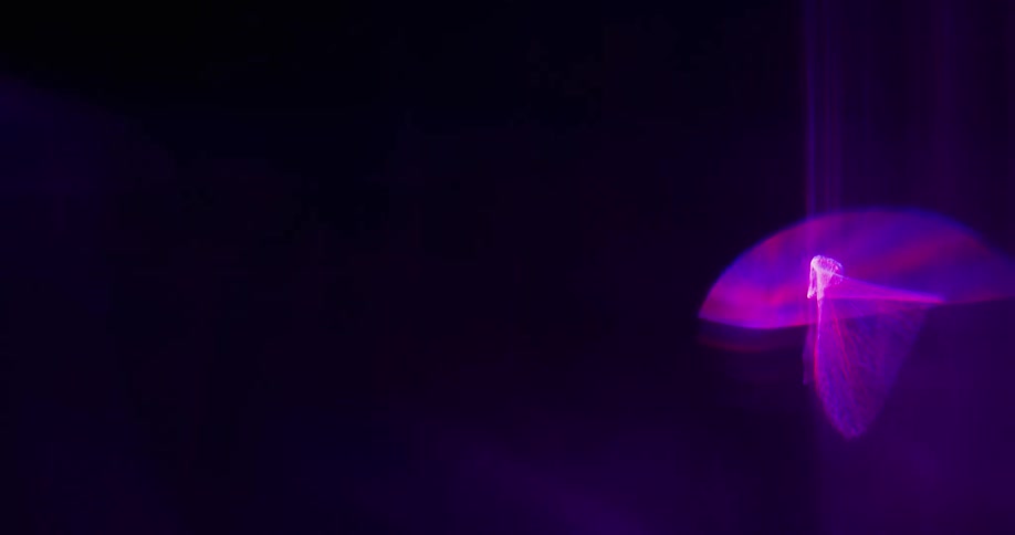 Purple lights move across darker background forming shapes and streaks