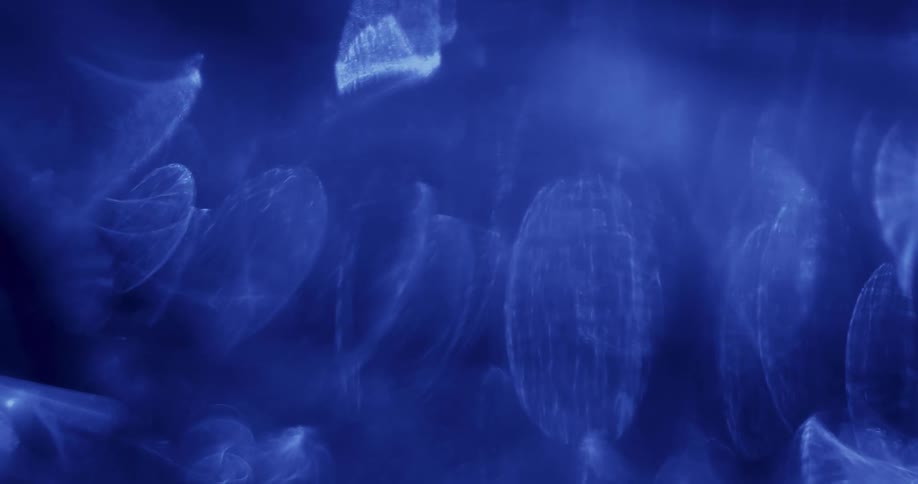 Light colored ghost orbs move across the glowing blue organic dominion