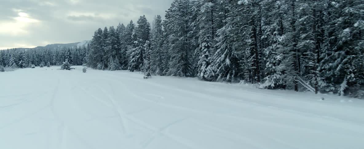 A vehicle drives on a snowy road beside a forest