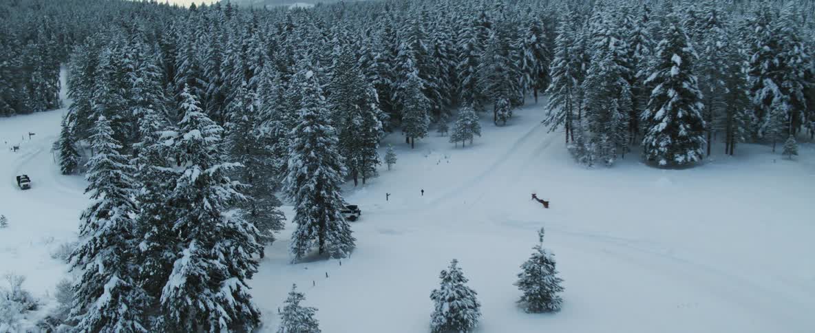 Cars are driving through a forest area during the winter