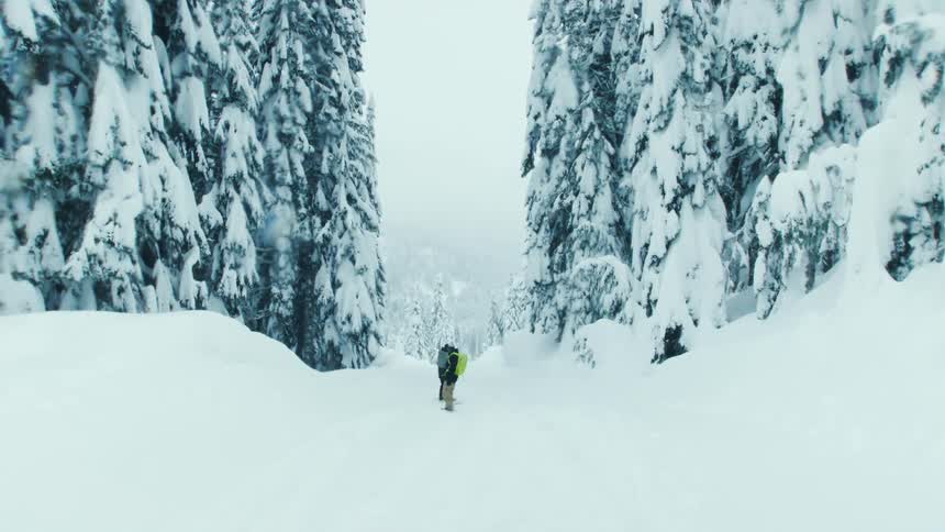 Two snowboarders ride down the snow covered slope between snow encrusted conifers