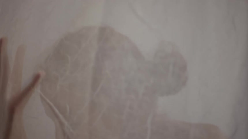 Woman with bun dances behind transparent veil