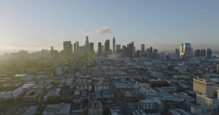 Several skyscrapers fill the skyline of this metropolitan city