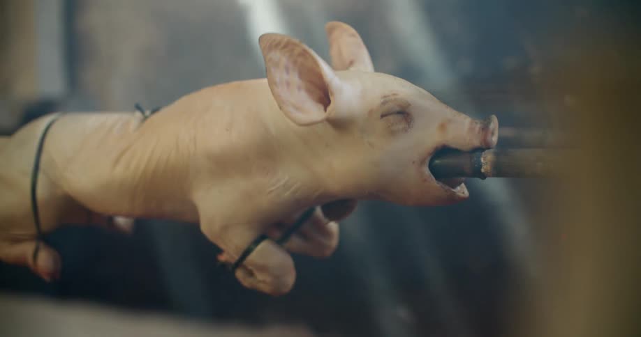 A pig being cooked on a barbecue