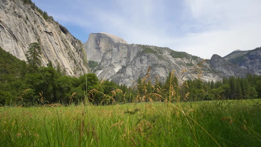 Tall grass grows below a canyon
