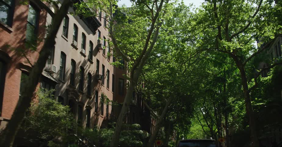 Vehicle drives on road with green trees next to blocks of apartments in the street
