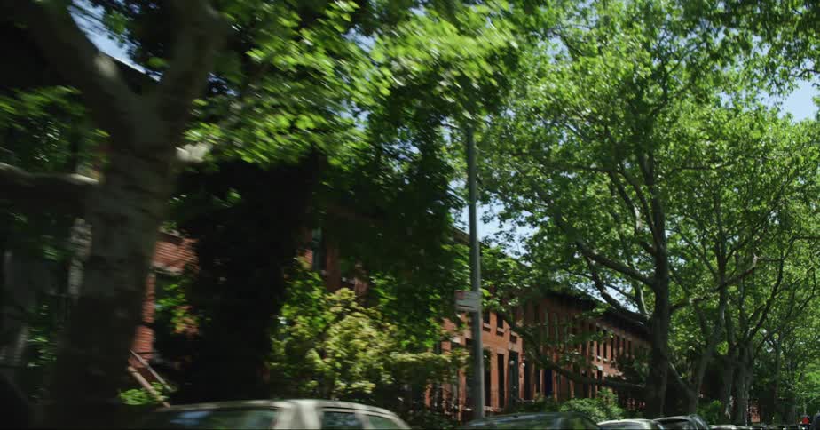 Trees line the front of the homes