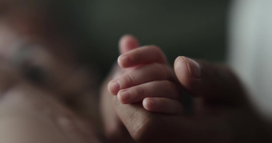 A parent holds their childs small hand in theirs