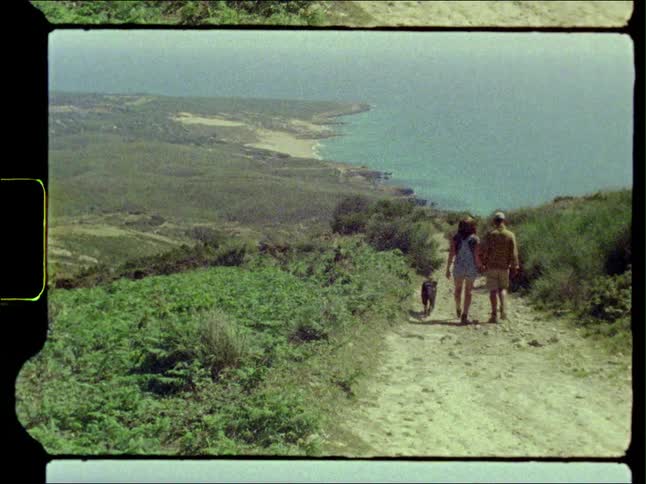 A couple holds hands as they walk with their dog down a sloped path to the ocean