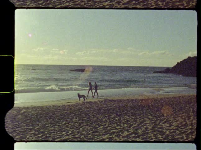 A couple are holding hands as they walk on the beach with their dog