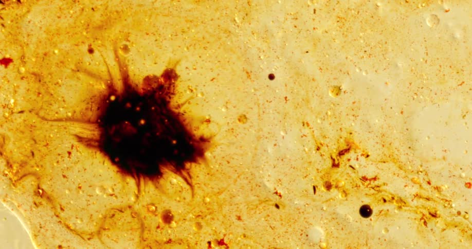 A red blob expands in a gold fluid