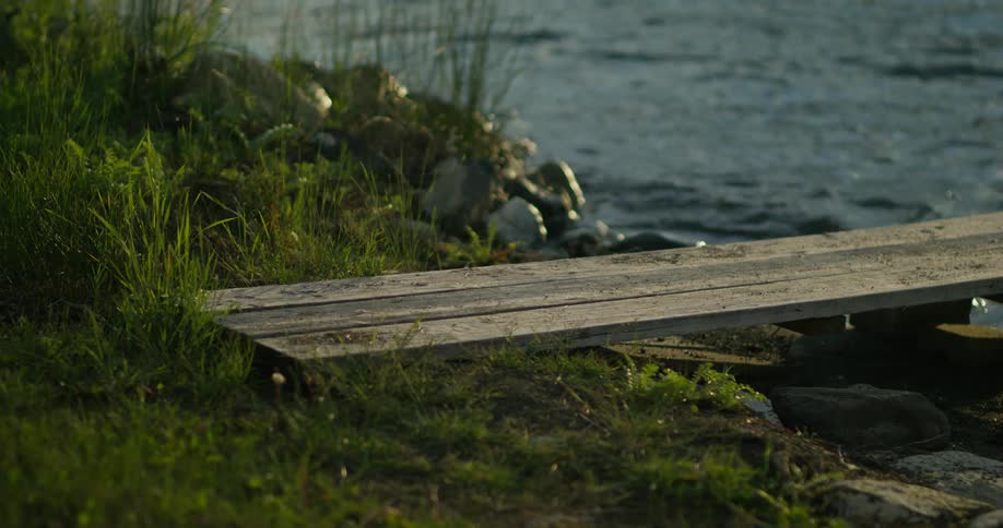 The board is laying near the shore
