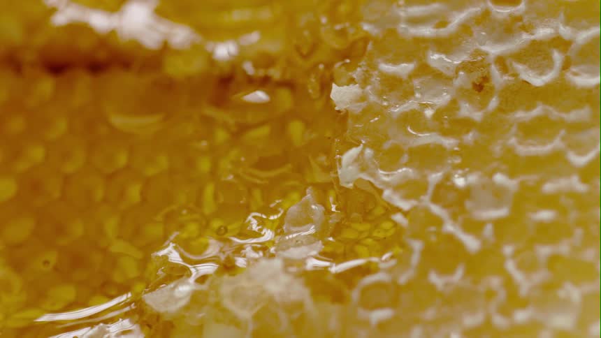 Close up of honeycomb