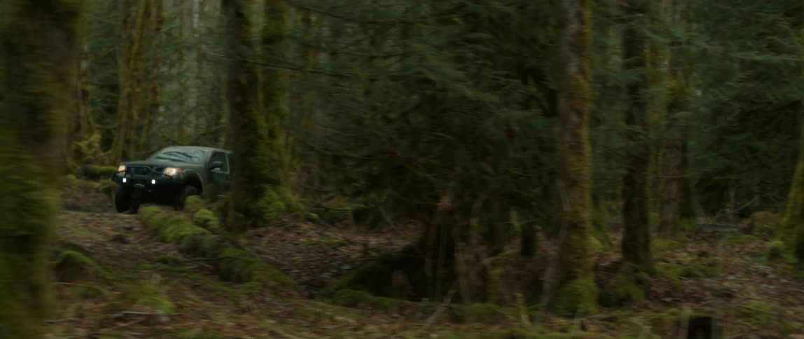 A truck with headlights on travels on a road through a forest with dry leaves on the ground