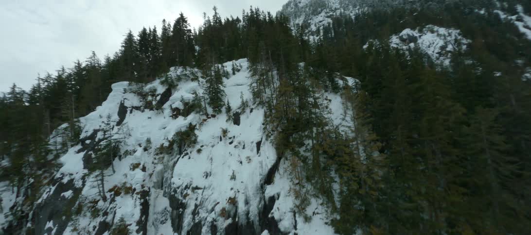 Trees on a snow covered mountain ridge and slope under a cloudy sky