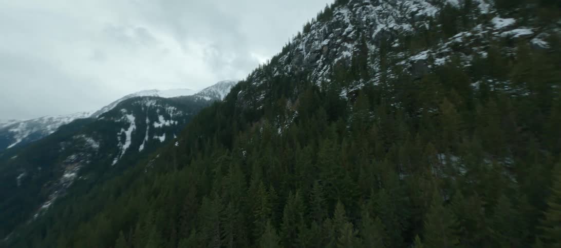 A drone is filming an aerial view of a landscape full of pine trees and snow covered mountains