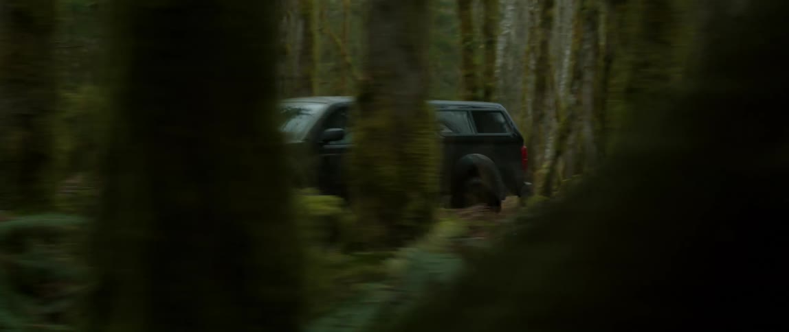 A truck with headlights on travels on a road through a forest with dry leaves on the ground