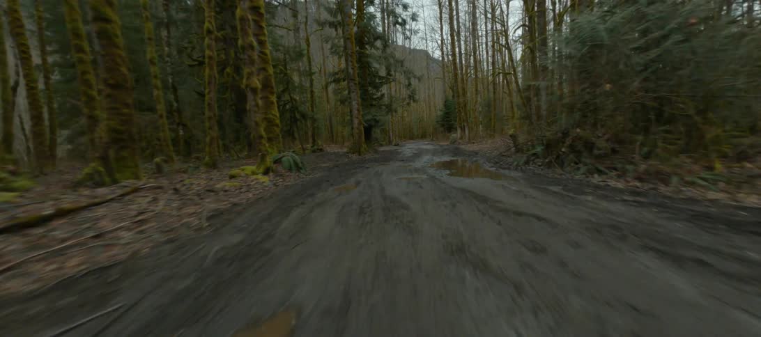 A truck off roads through puddles in a forest