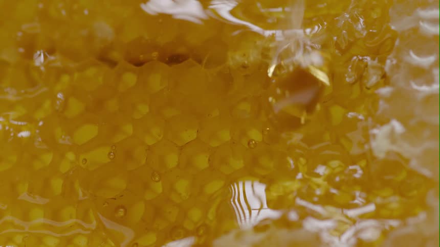 Honey reflects light as it is dripping onto a honeycomb