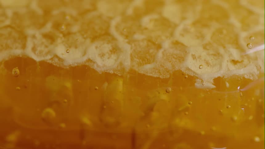 Close up of honey in comb running down