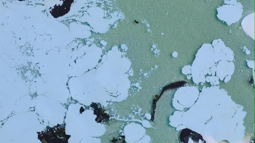 A light blue substance hoovers above a light green area and grows outward