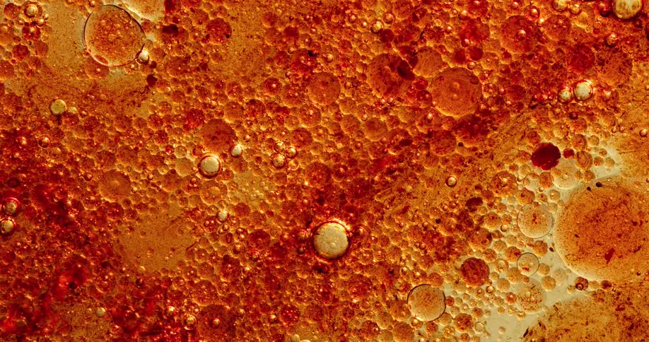 An orange liquid has several bubbles slowly emerging to the surface