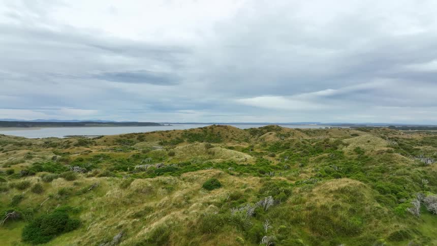 The hills are green and low
