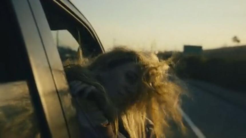 Woman leans out car window as vehicle drives along highway at sunset