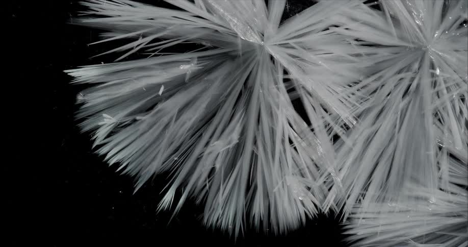 Time lapse of growing thin long ice crystals of freezing water over a black background