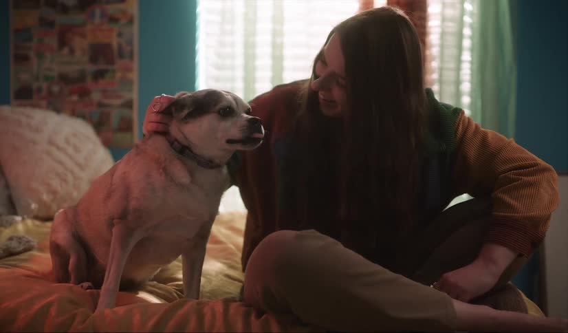 A girl at home smiles as she pets her dog and he kisses her face