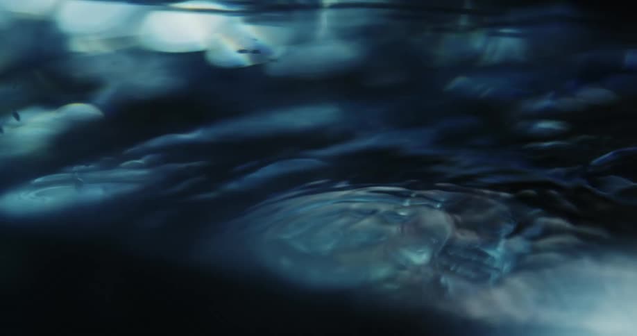 Close up of tiny air bubbles rising to the water surface on a dark environment