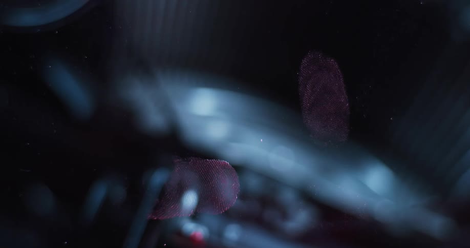 A view of red and blue police lights flashign