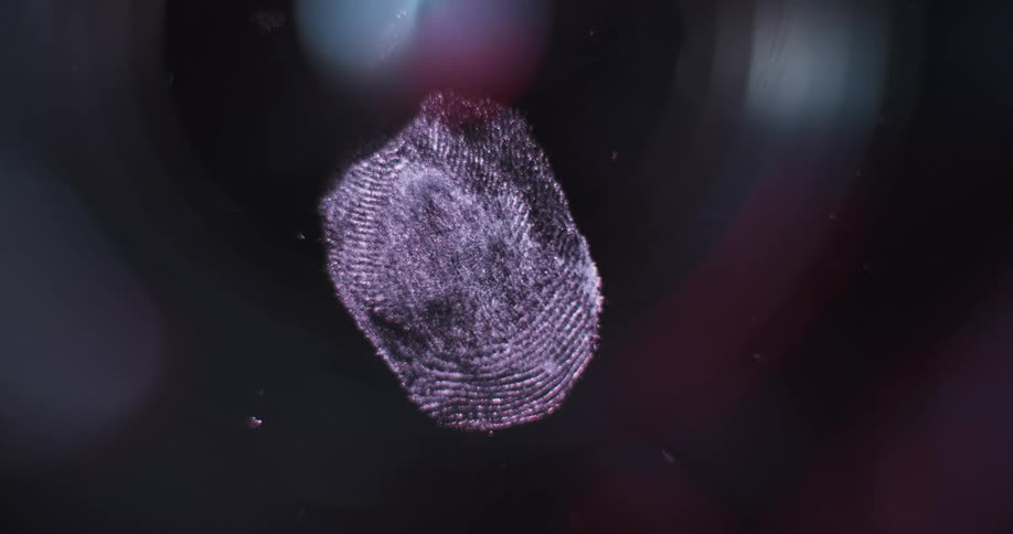 Police lights flash on a finger print at a crime scene