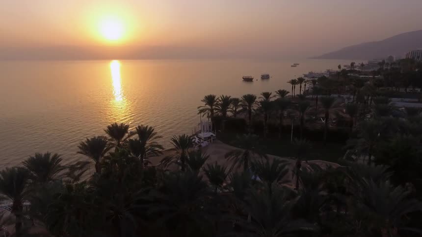 The sun sets over palm trees on a beach