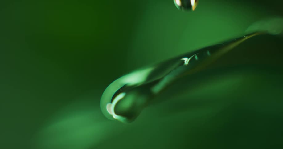 Water drips onto a leaf then slowly rolls off the end