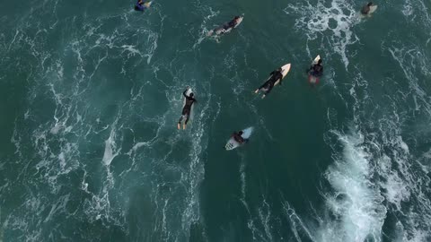 People are surfing in the rough water below
