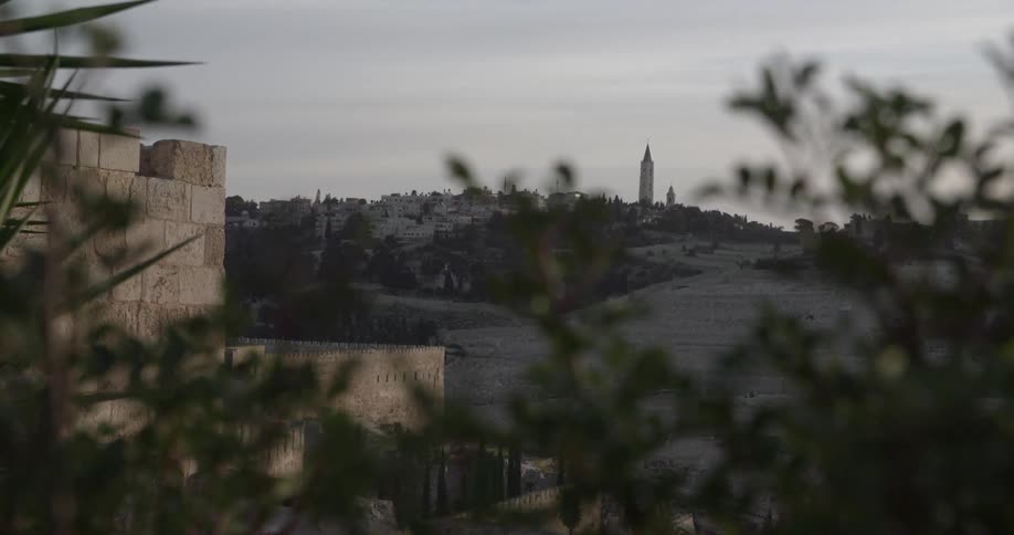Old ruins and a tower in the distance seen from behind some bushes