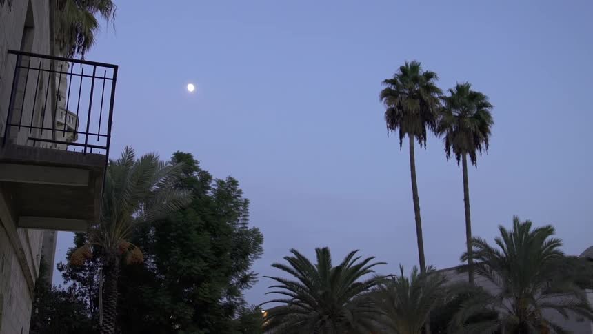 The moon shines brightly over a building and some palm trees