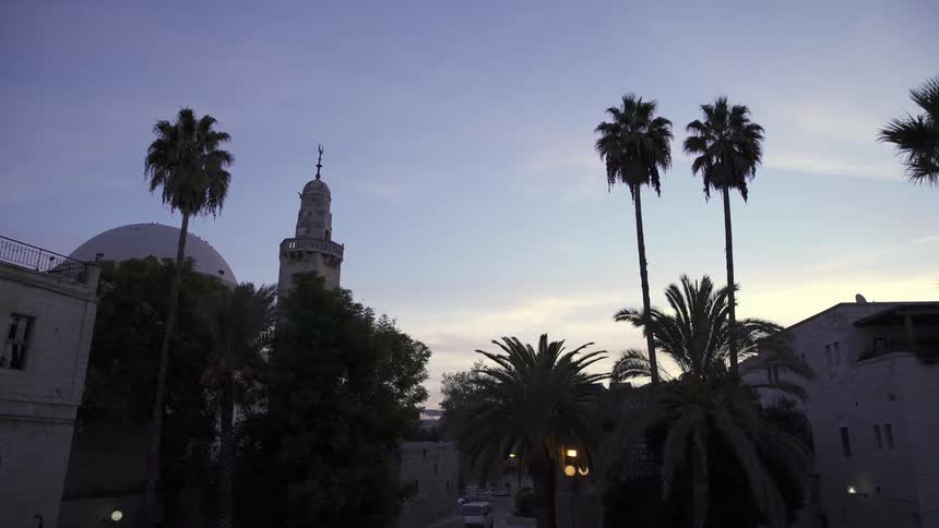 Palm trees are in front of these buildings
