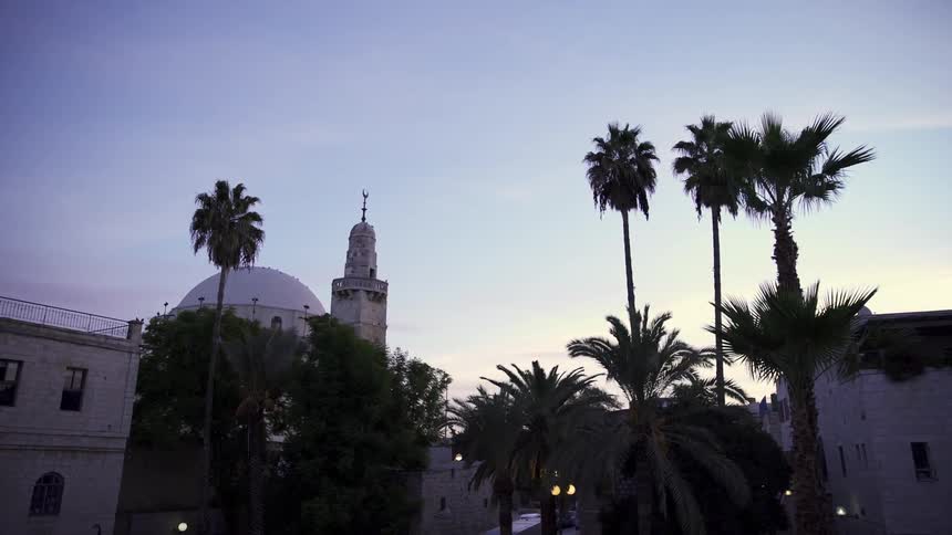 Some trees cover a tower as a bird flies on top