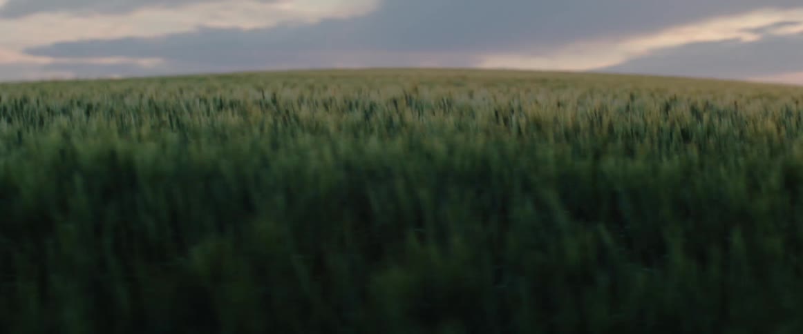 The sun sets over a sweeping view of wheat fields and rolling hills