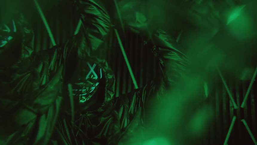 A person with a hood and mask on dances under green lights