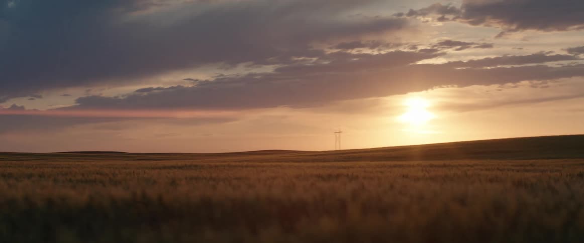 Sun setting over the gentle hills near a field of wheat in the evening