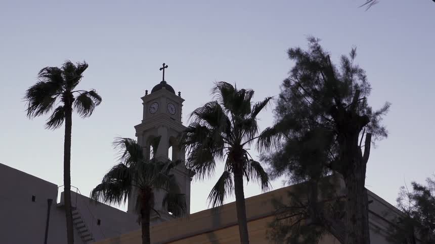 Palm trees and a church steeple tower overhead